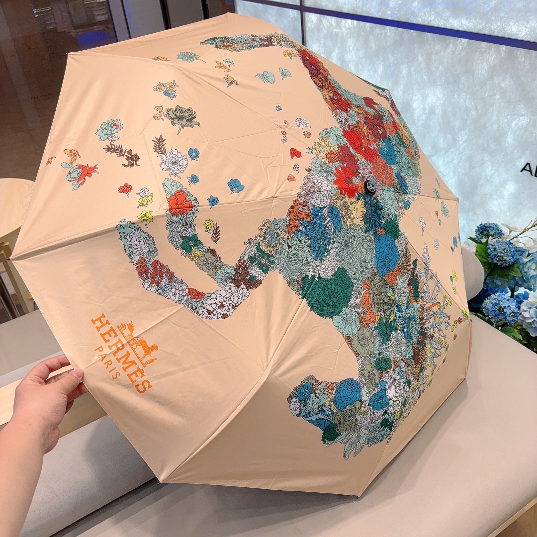 HM Umbrella 0067