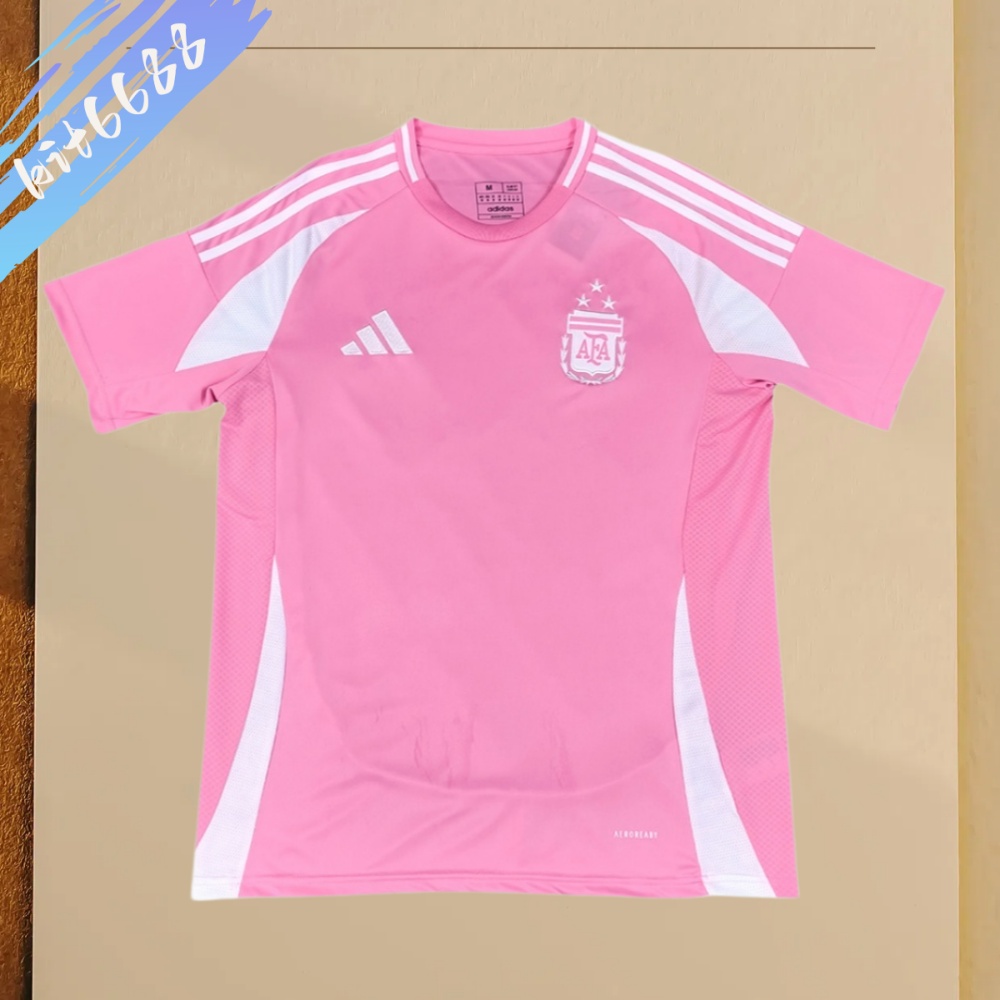 2025/2026 Argentina Pre-match Training Football Shirt (Fan Edition)