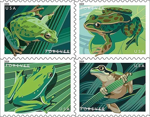 🎁[US Free Shipping]100PCS-Frogs