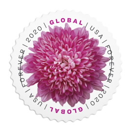 🎁[US Free Shipping]100PCS-Global: Chrysanthemum