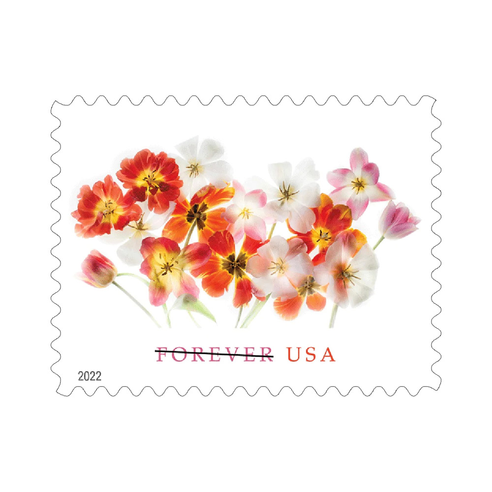 🔥(Free shipping) 2022 Tulips - 100pcs