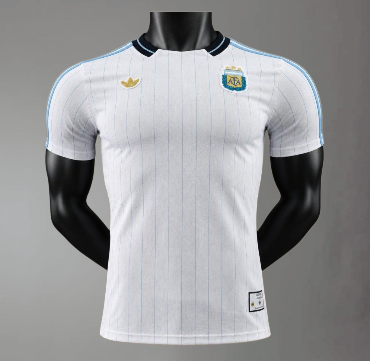 2026 2027 Argentina training suit Football Shirt (Player Edition)