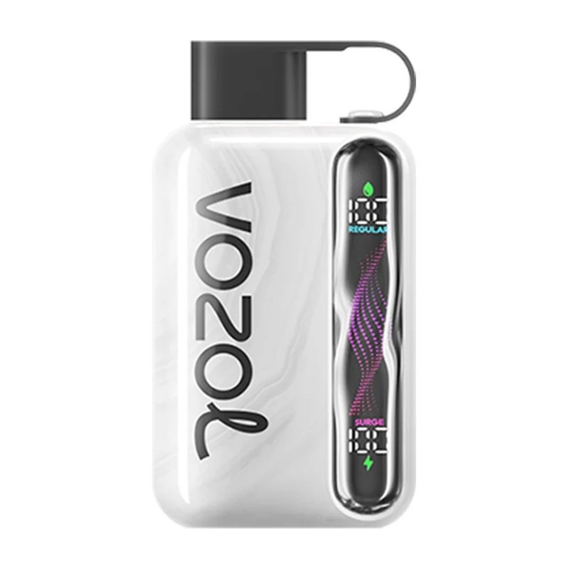 Vozol Star 40000 puffs disposable vape (10 vapes)