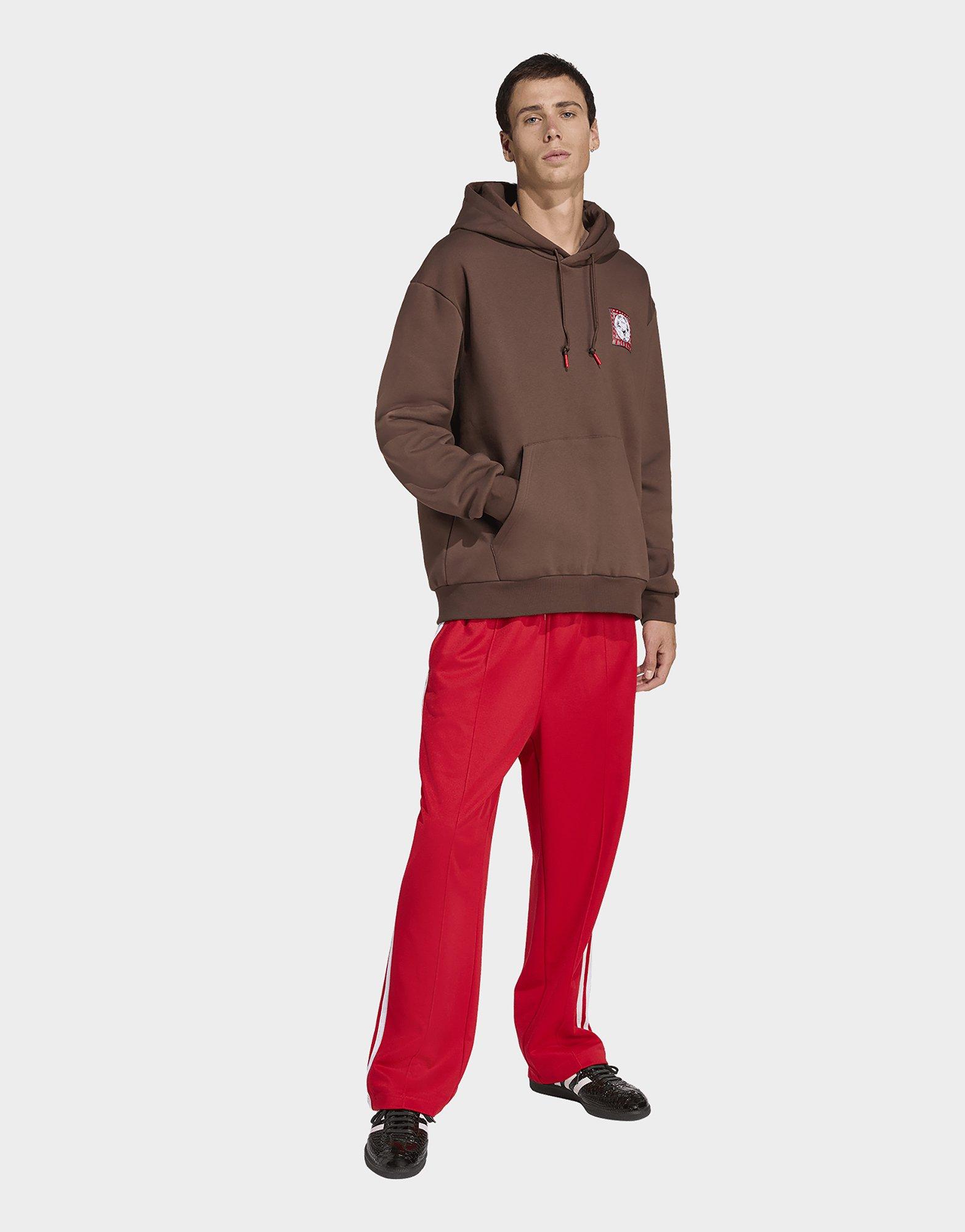 adidas Grafik Hoodie