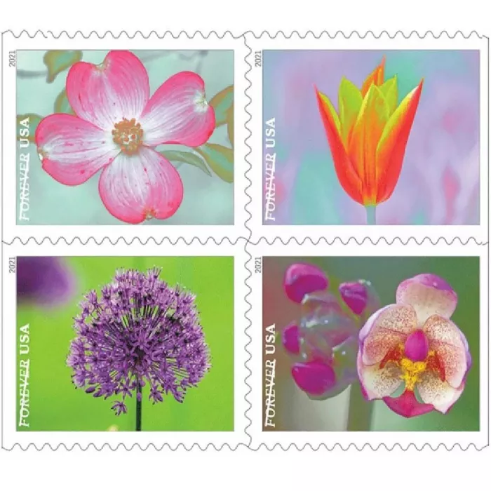 🎁[US Free Shipping]100PCS-Garden Beauty