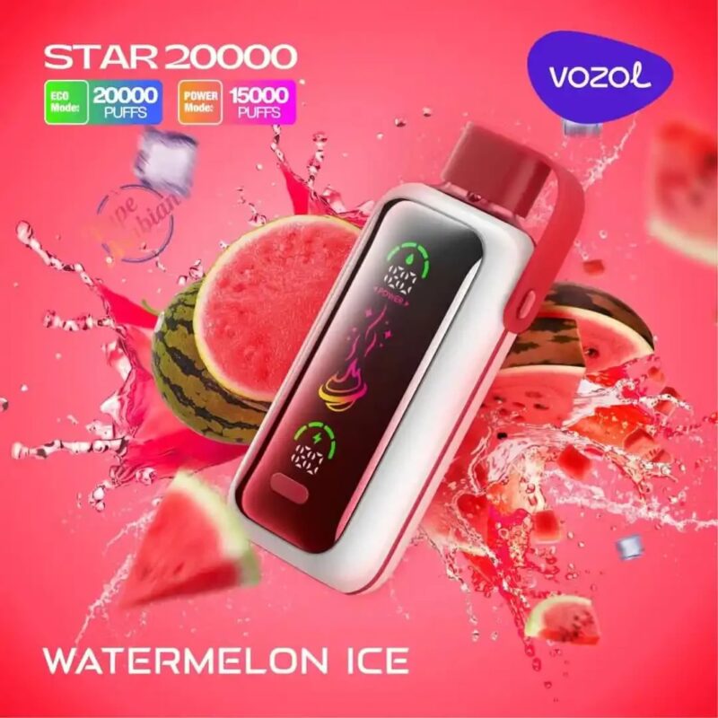 VOZOL Star 20000 Dual Power Rechargeable Vape (10 Vapes)