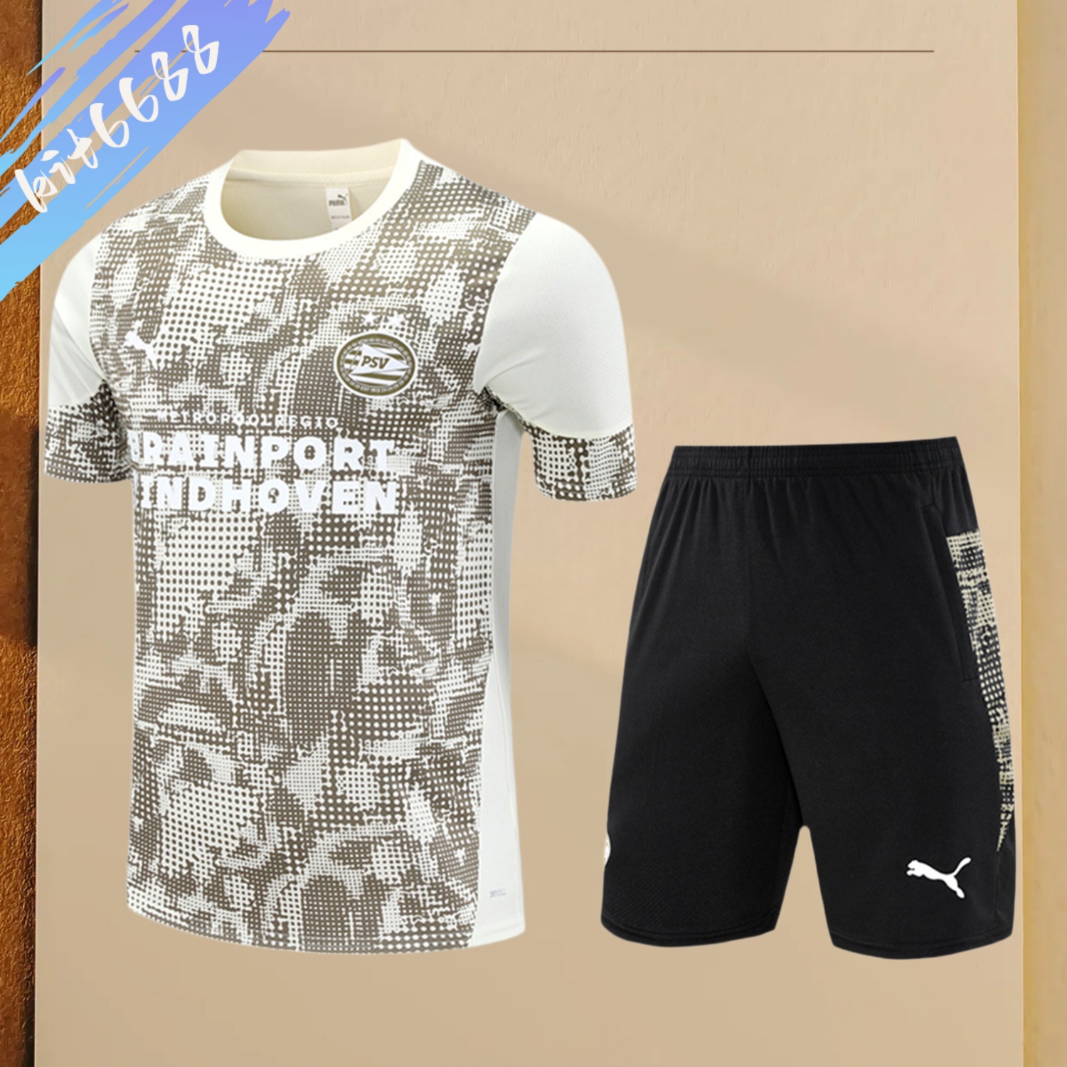 2025/2026 PSV Eindhoven Adult Short Sleeve Training Wear (Adult Kit)