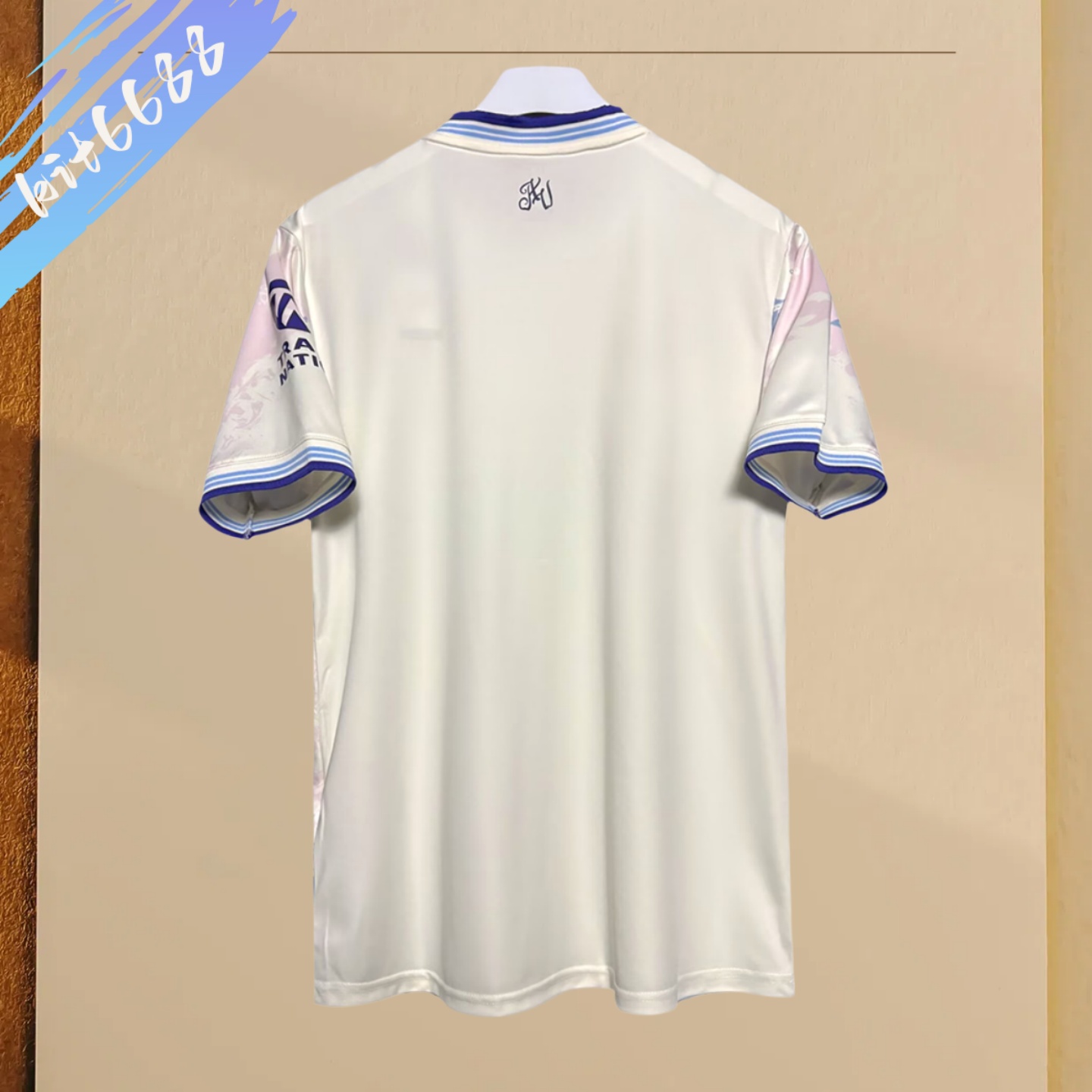 2025/2026 Aston Villa Third Away Football Shirt （Fans version）