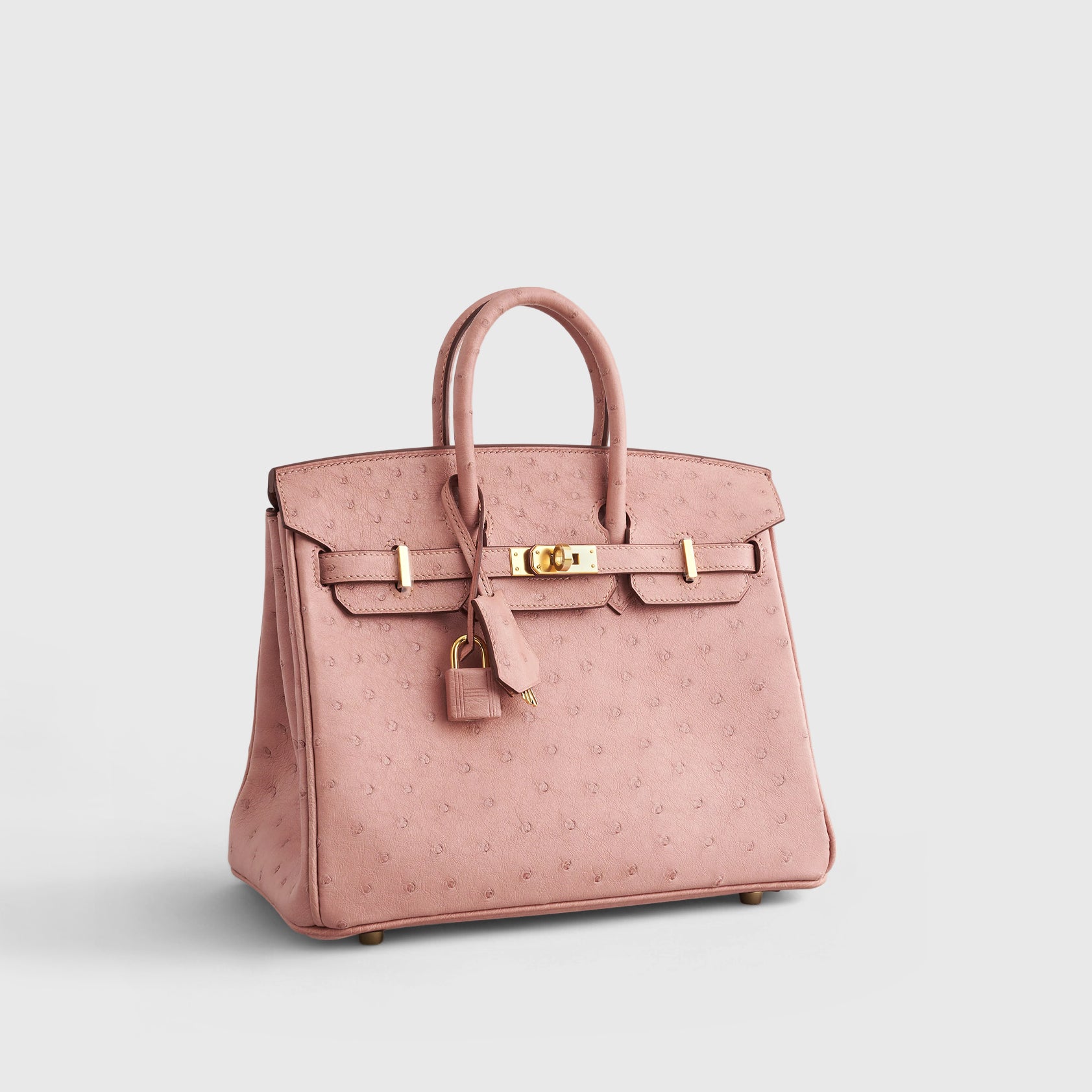 Hermès Birkin 25 Ostrich Terre Cuite Gold Hardware