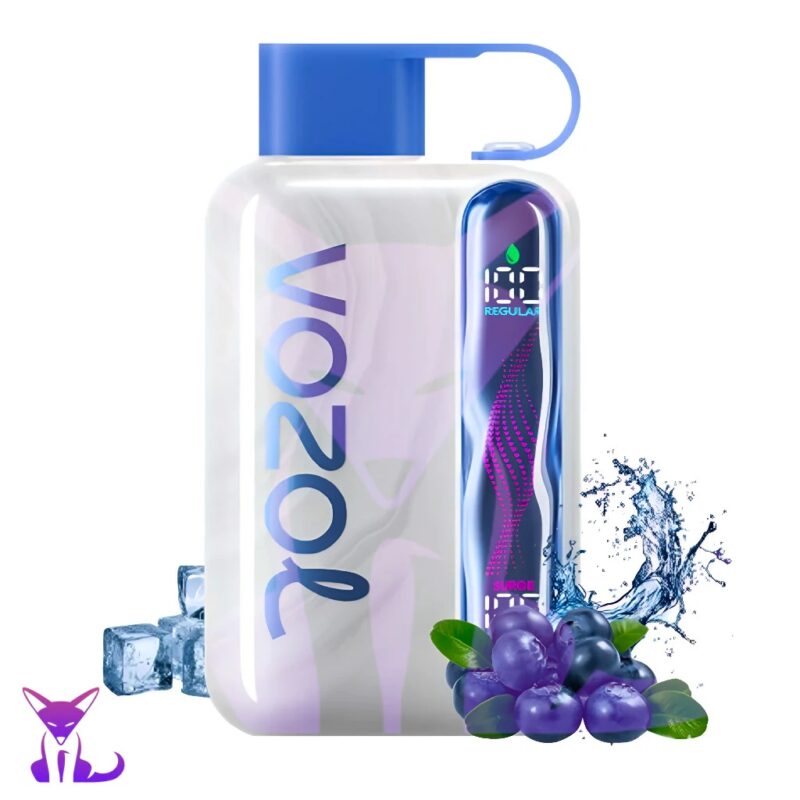 Vozol Star 40000 puffs disposable vape (10 vapes)