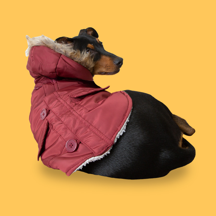 Outech Abrigo Granate con Capucha para perros