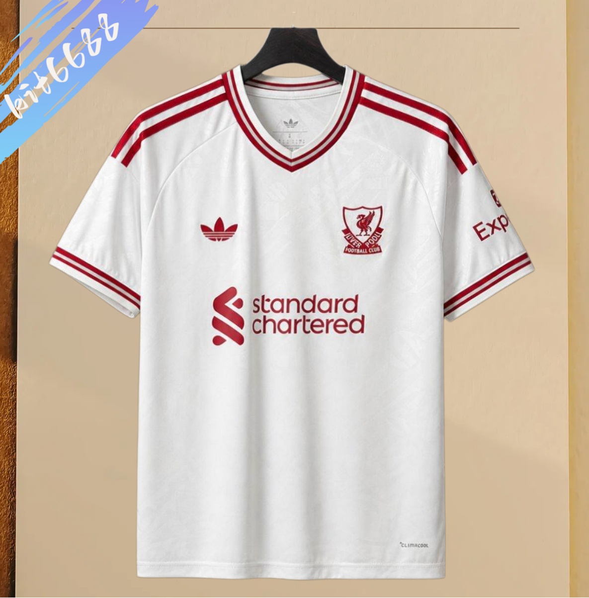 2026/2027 Liverpool Away Football Shirts (Fans version)