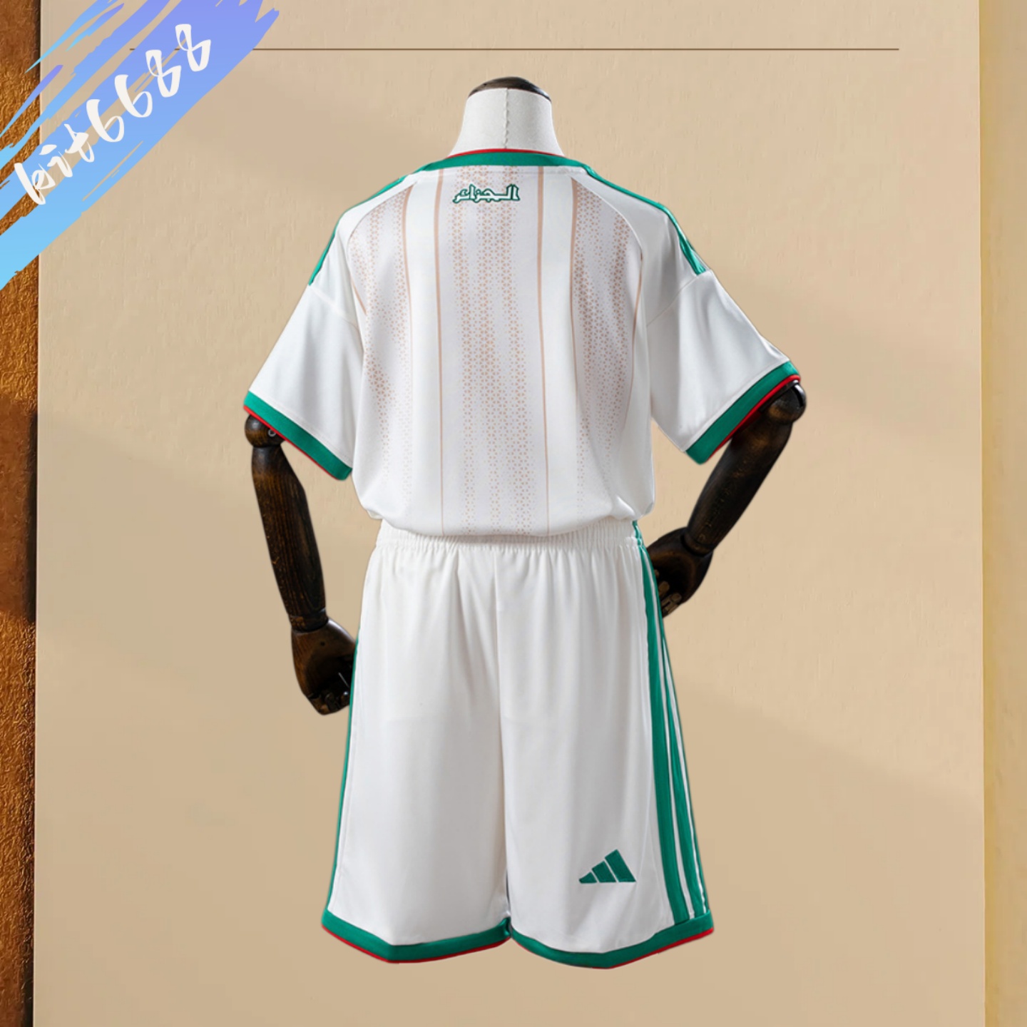 2026 Algeria Home Football Jersey (Kids Kit socks)
