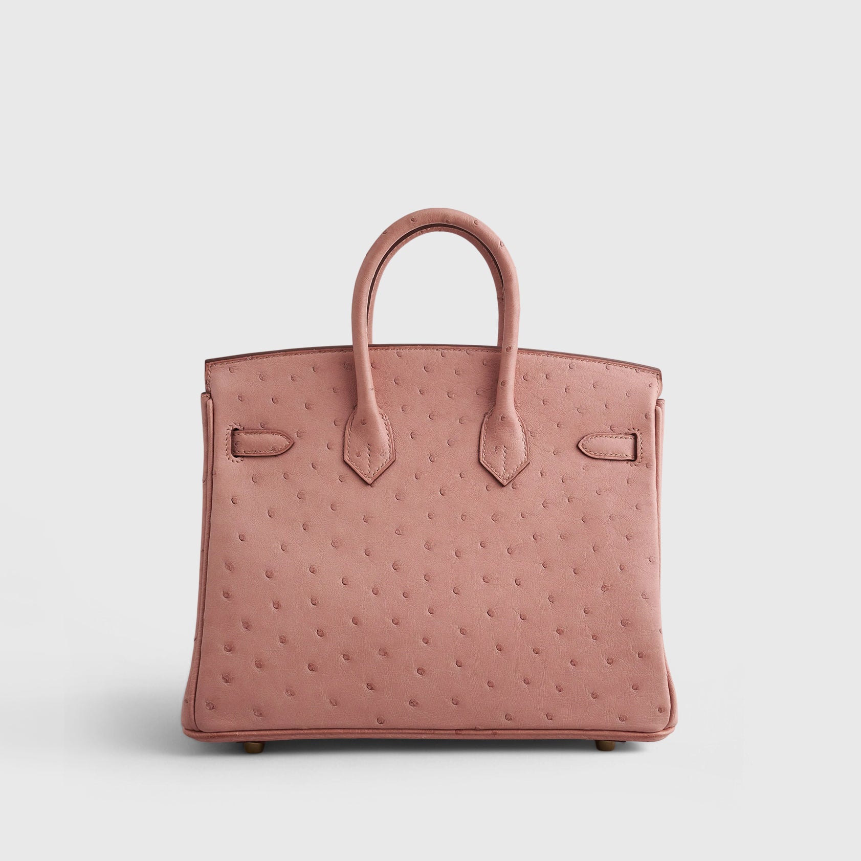 Hermès Birkin 25 Ostrich Terre Cuite Gold Hardware