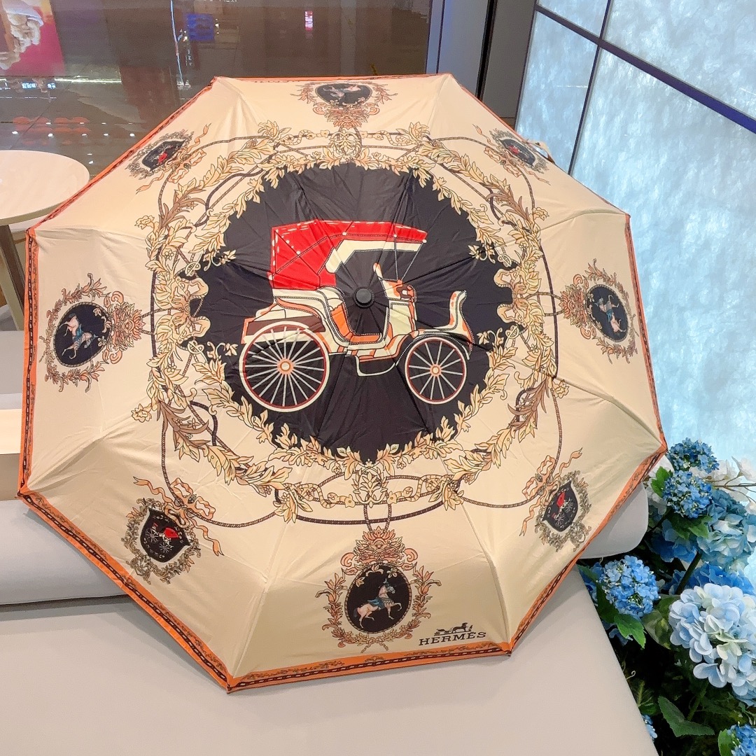 HM Umbrella 0064
