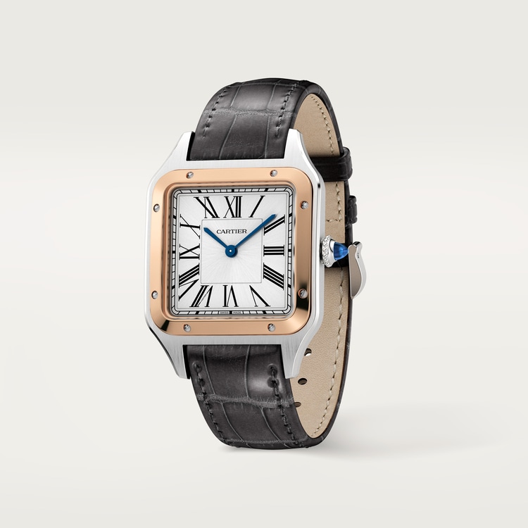 Santos-Dumont watch Large model Satin-brushed silver dial 43.5 mm x 31.4 mm