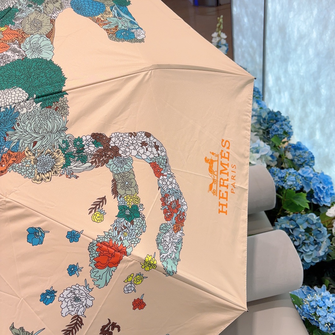 HM Umbrella 0067