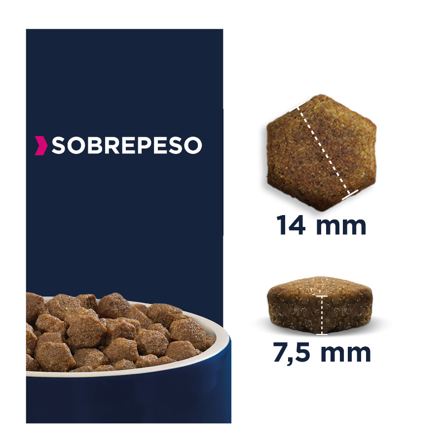 Eukanuba Adult Daily Care Overweight Sterilized pienso para perros