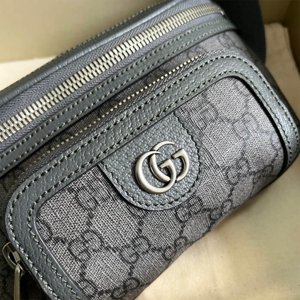 Ophidia belt bag