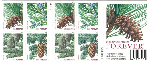 🎁[US Free Shipping]Holiday Evergreen
