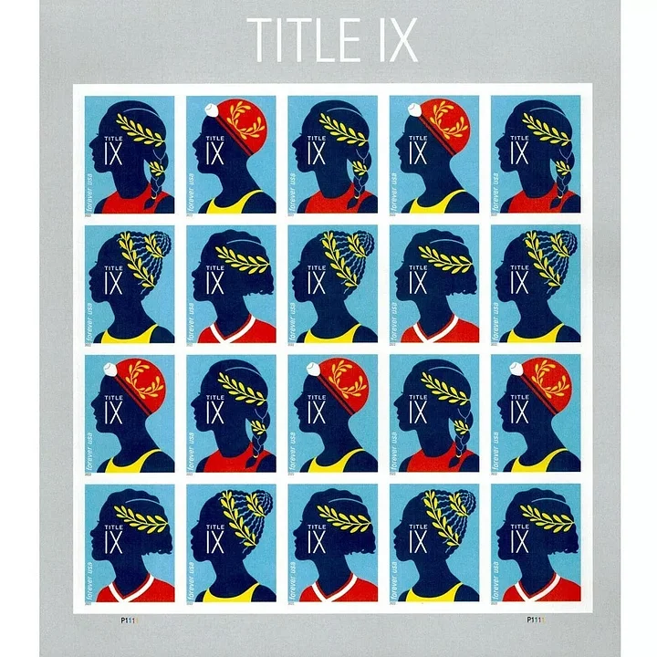 🎁[US Free Shipping]Title IX 2022 - 100pcs