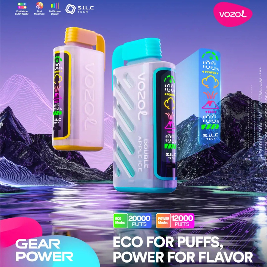 VOZOL Gear Power 20000 Rechargeable Vape (10 pieces)