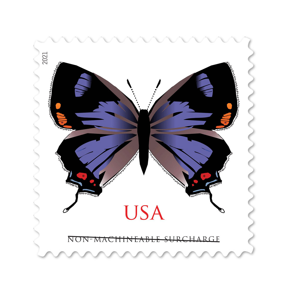 🎁[US Free Shipping]100PCS-Colorado Hairstreak