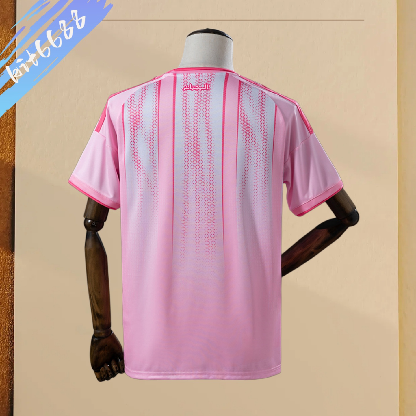 2026 Algeria TPink Football Shirt (Fans Edition)