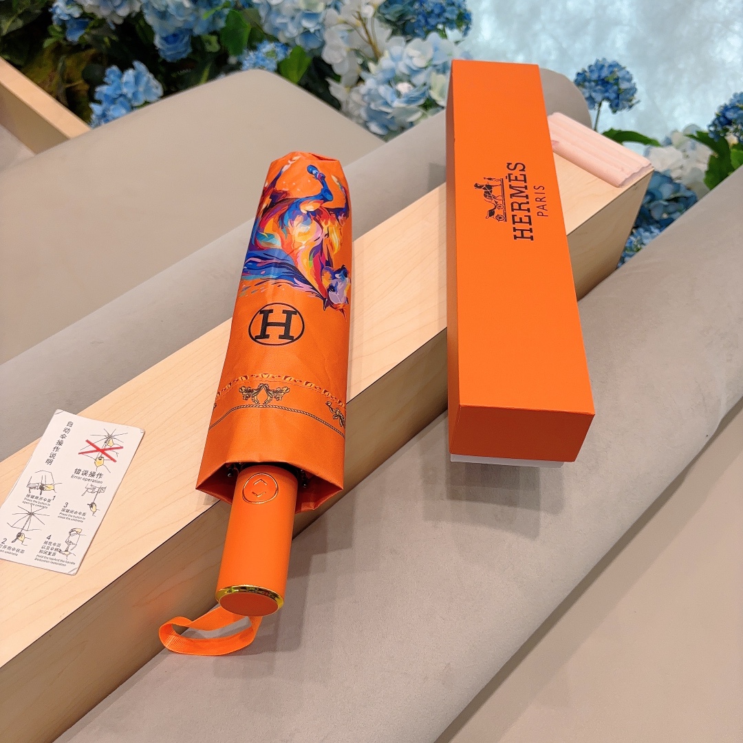 HM Umbrella 0004