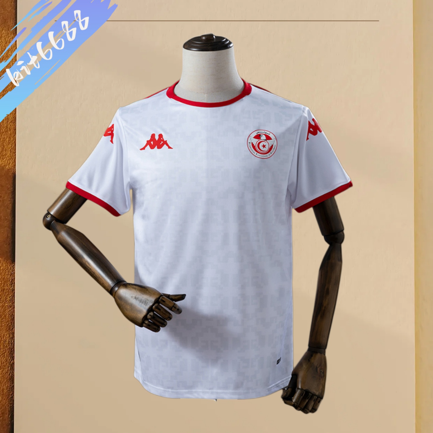 2026 Tunisia Away Football Shirt (Fans Edition)