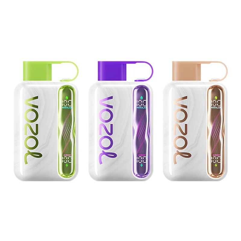 Vozol Star 40000 puffs disposable vape (10 vapes)