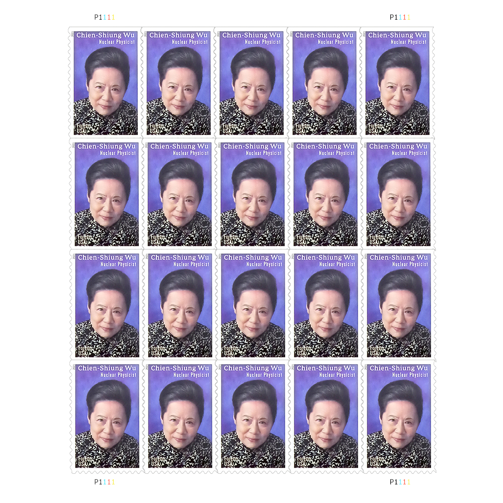 🎁[US FREE SHIPPING]100PCS-2021 bChien-Shiung Wu