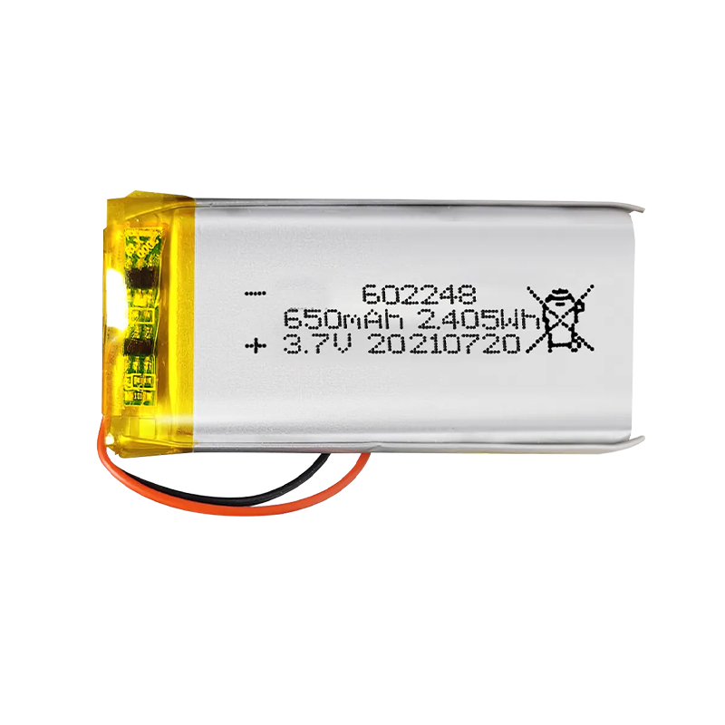 Pouch Lithium Ion Batteries 602050 602248 3.7v 600mAh 650mAh