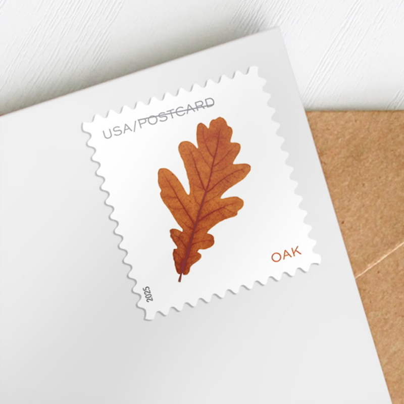 2025 Vibrant Leaves Postcard Stamps, 1 Roll of 100 Pcs Postcard |Multiple Stamp Designs andFormats