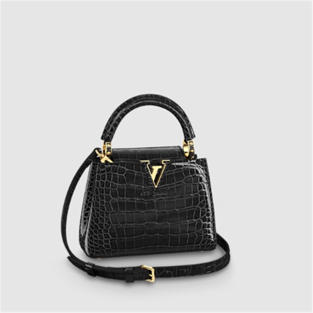 Capucines Mini N93429