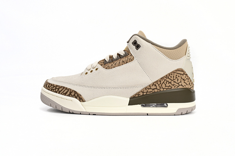 Air Jordan 3 Retro Palomino CT8532-102