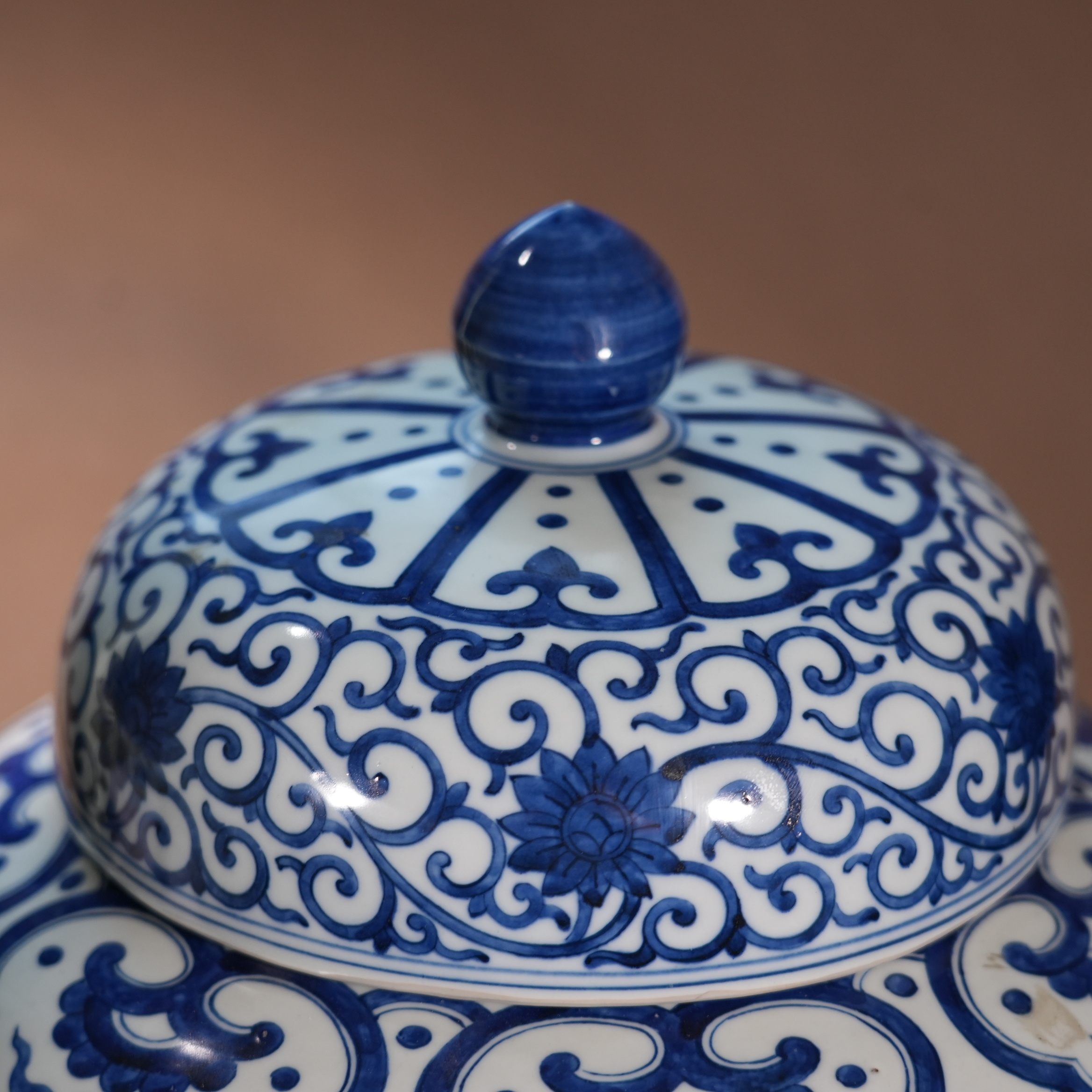 Ancient Chinese Blue and White Covered Jar with Fish and Algae Motifs