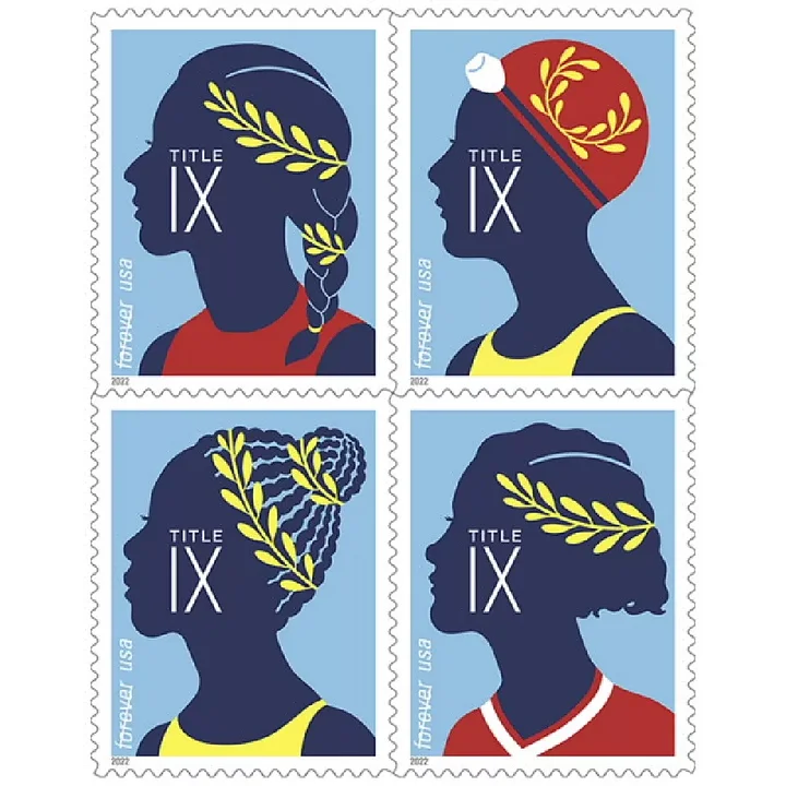 🎁[US Free Shipping]Title IX 2022 - 100pcs