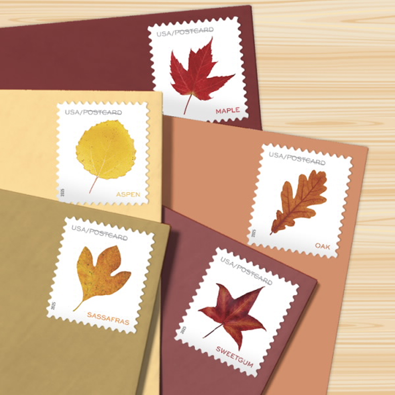 2025 Vibrant Leaves Postcard Stamps, 1 Roll of 100 Pcs Postcard |Multiple Stamp Designs andFormats