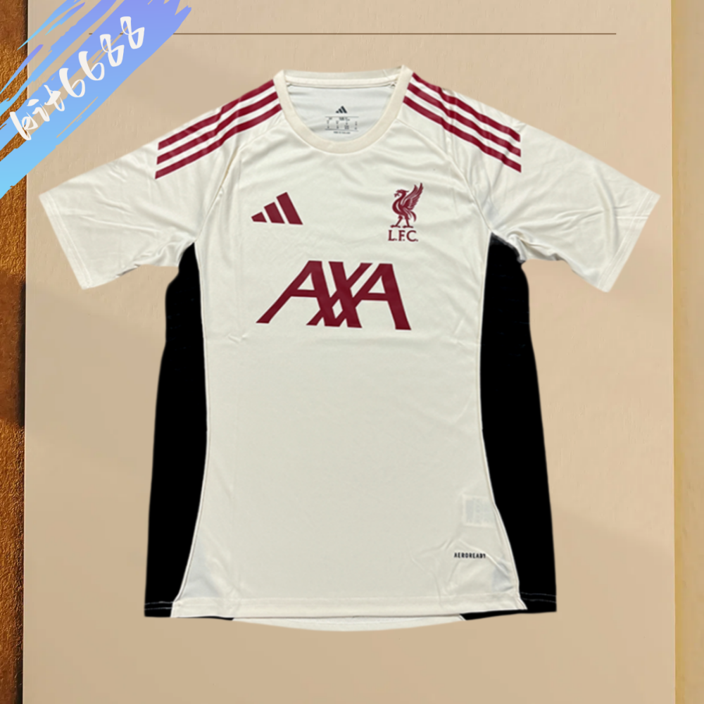 2025/2026 Liverpool Training Football Jersey (Fans)