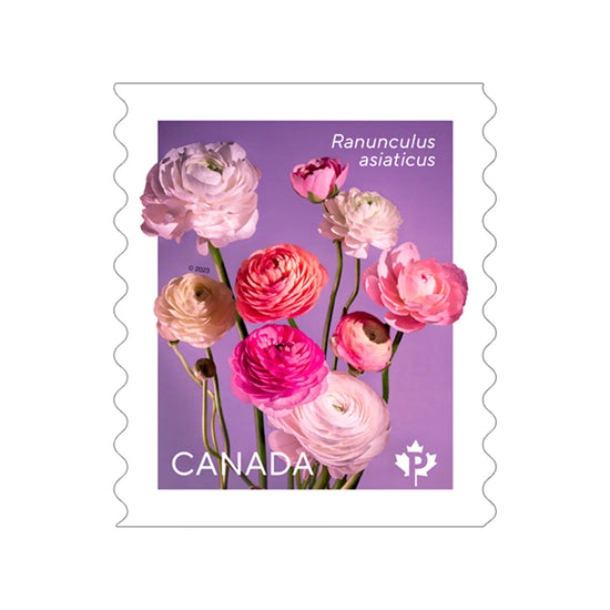 Ranunculus – Permanent™ Domestic Rate Stamps, Coil of 50 (2 Coils Minimum)