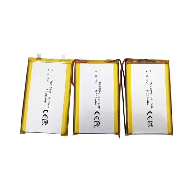Pouch Lithium Ion Batteries 755590 3.7v5000mAh