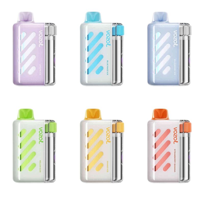 VOZOL Vista 40000 Disposable Vape (10 pieces)