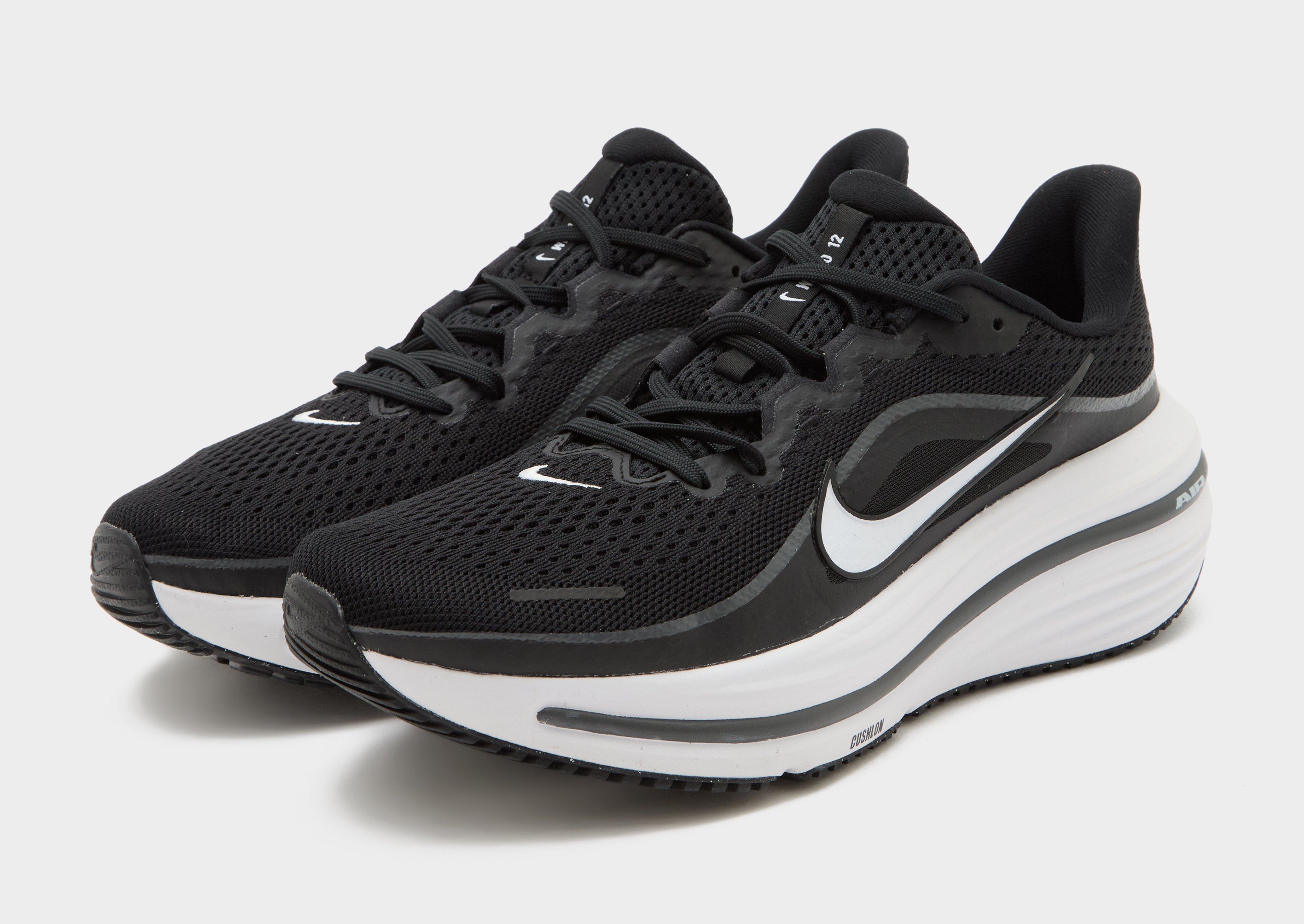 Nike Straßenlaufschuh (Herren) Winflo 12