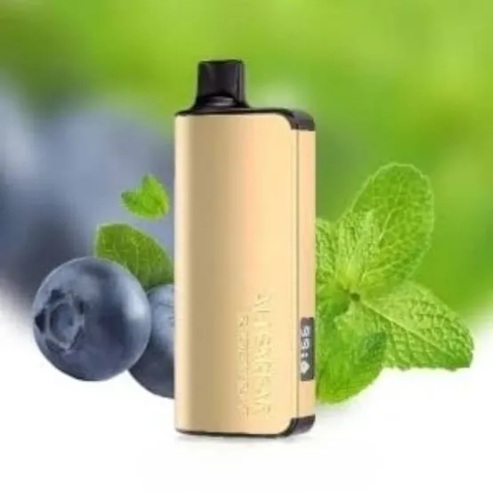 ALIBARBAR NIGOT 9000 Puffs - Blueberry Mint【3-7 days】