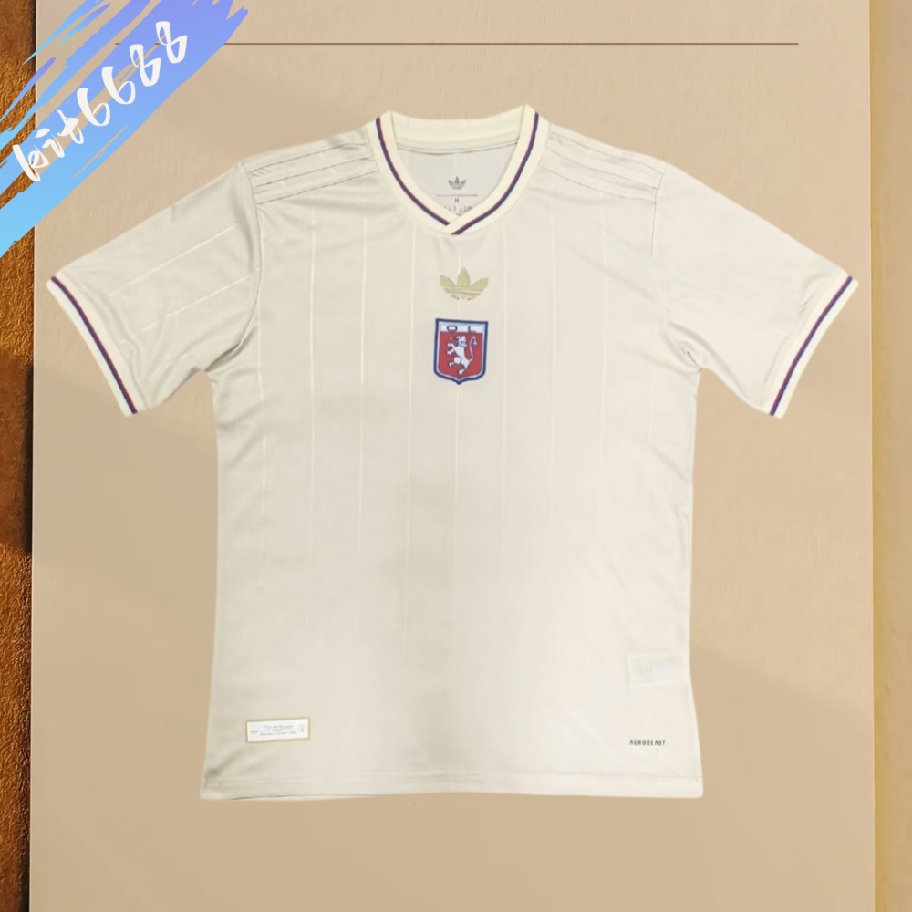 2025/2026 Lyon commemorative edition Football Shirt (Fan Edition)