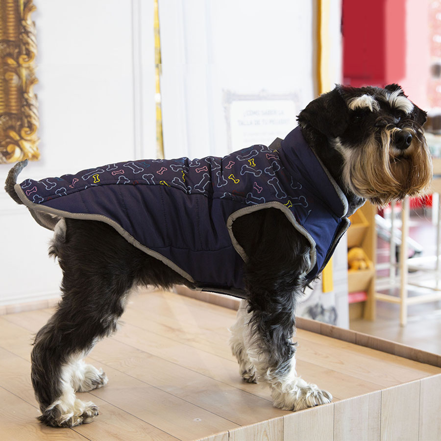 Outech Abrigo Azul con Estampado de Huesos para perros