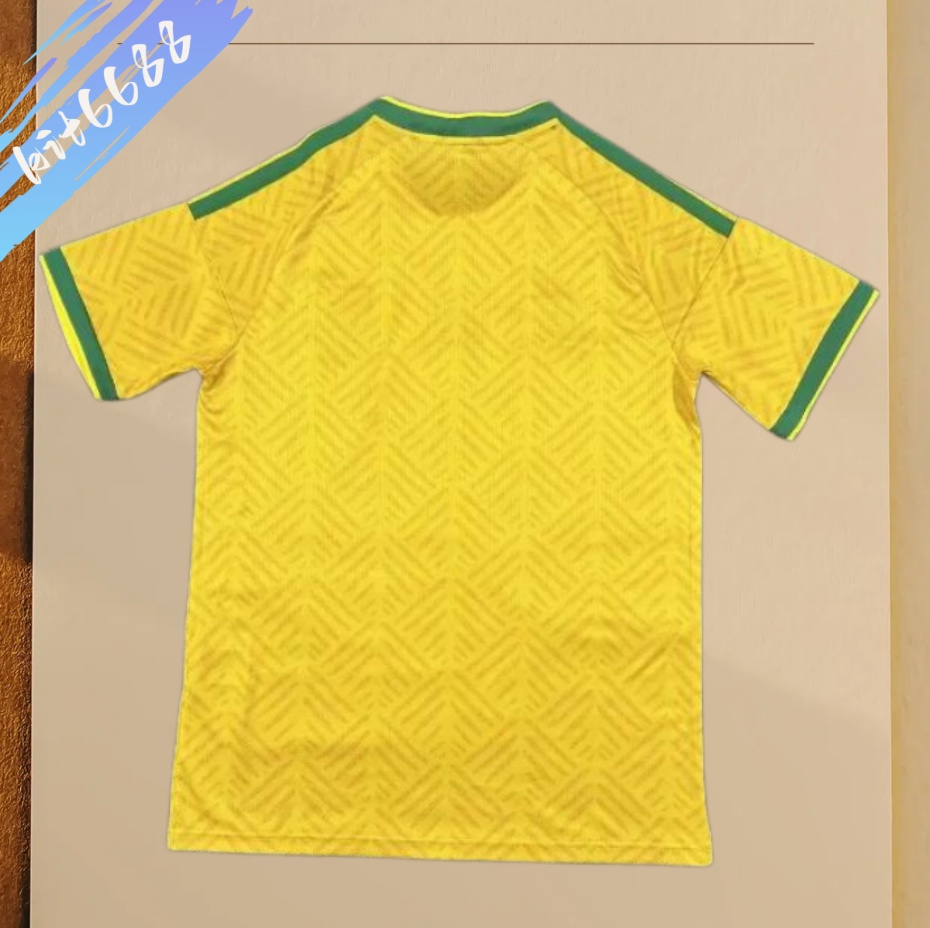 2026 South Africa home Football Shirt (Fans version)