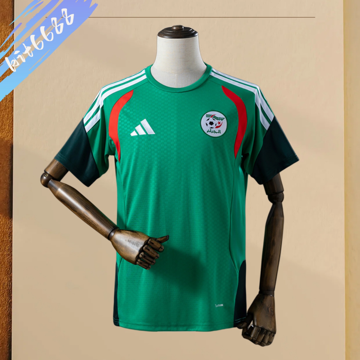 2026 Algeria Training - Green Football Shirt (Fans Edition)
