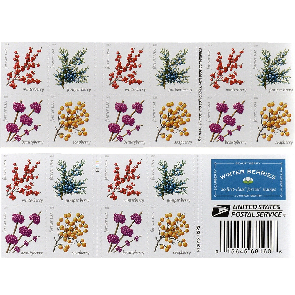 🎁[US Free Shipping]100PCS-Winter Berries